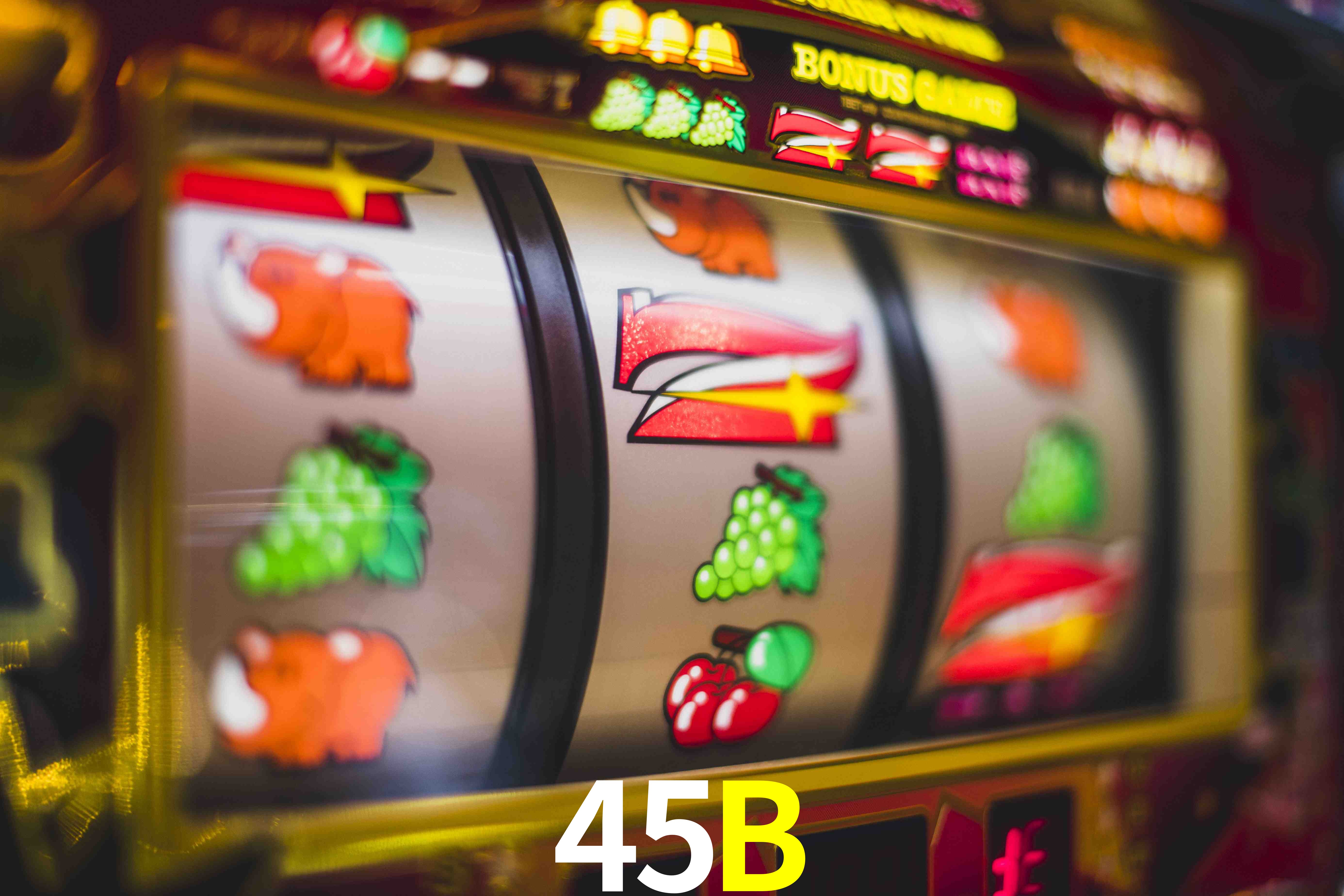 VIP Casino 45B